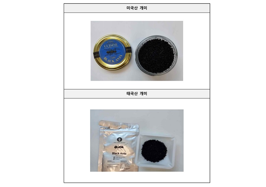 식품에 사용할 수 없는 ‘개미’ 사용한 음식점 적발