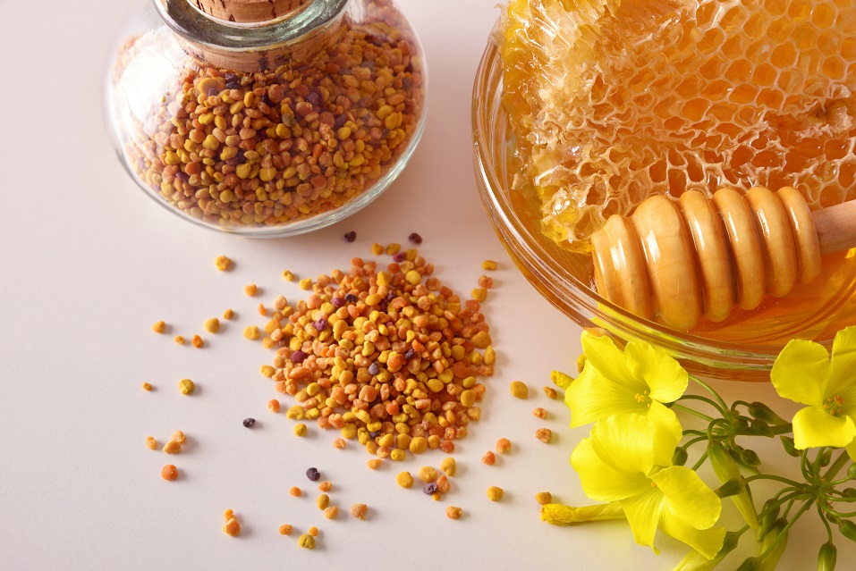 ‘벌 화분’, 전립선 기능 개선 효과 과학적 입증