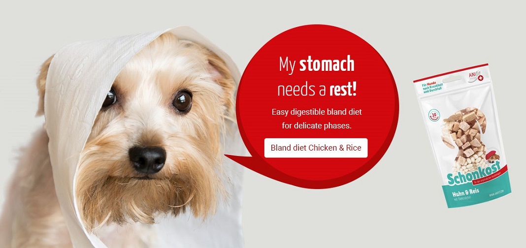 반려동물 식품 기업 애니핏, 독일 직판협회 가입