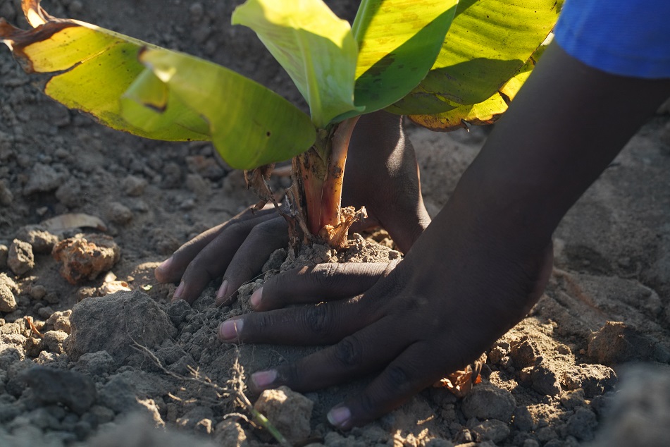 뉴스킨, 2024 사회적 영향·지속가능성 보고서 공개