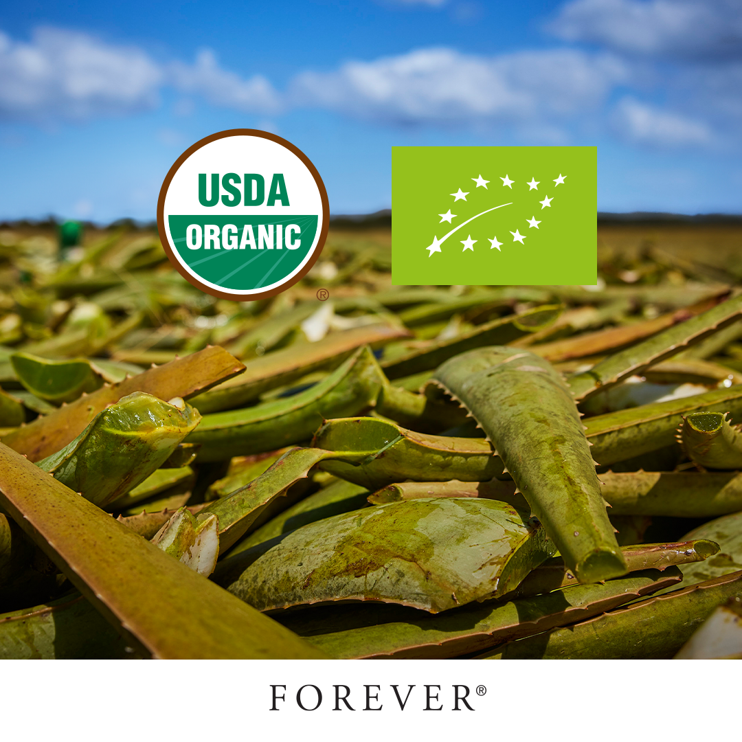 자연 그대로의 알로에 베라!